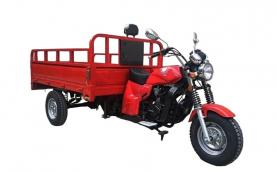 Трицикл AGIAX 2 (АЯКС) 250